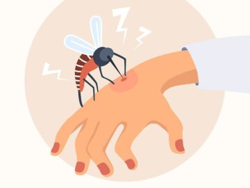 أسرع طريقة للتخلص من الذباب بدون مبيدات
