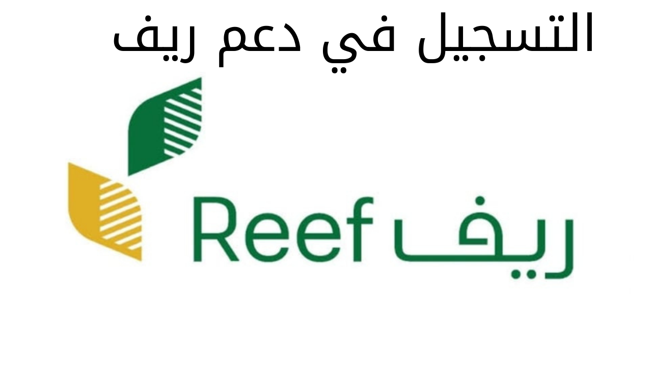 “بـــادر بالتسجيل reef.gov.sa” خطوات التسجيل في دعم ريف والفئات المستحقة له وزارة البيئة والزراعة 5 “بـــادر بالتسجيل reef.gov.sa” خطوات التسجيل في دعم ريف والفئات المستحقة له وزارة البيئة والزراعة