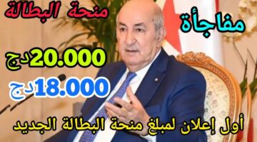 التسجيل في منحة البطالة للشباب 2024 في الجزائر وحقيقة زيادة المنحة الي 25 الف دينار 1