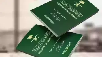 الخطوات المتبعة في الاستعلام عن التأشيرة برقم جواز السفر