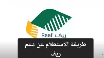 وزارة البيئة توضح خطوات الاستعلام عن دعم ريف والشروط المطلوبة للتسجيل