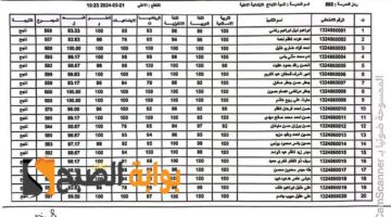 الرصافة