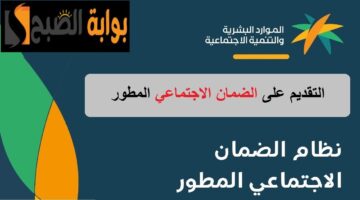 الضمان 1