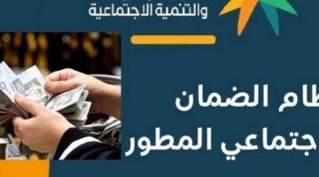 الضمان الإجتماعى المطور