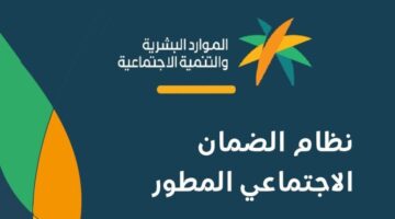 الضمان المطور 773x435 1