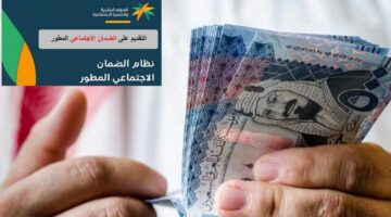الضمان المطور1
