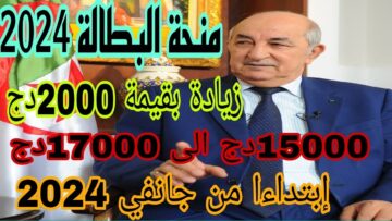 “الوكالة الوطنية للتشغيل تعلن”.. الفئات المستفيدة من منحة البطالة 2024 الجزائر