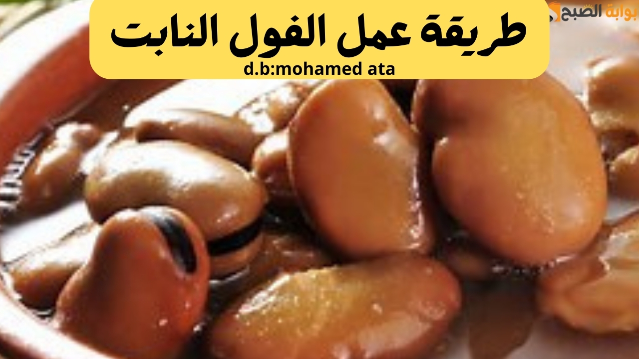 طريقة عمل الفول النابت بالمقادير والخطوات وأسرار الشيفات 5 طريقة عمل الفول النابت بالمقادير والخطوات وأسرار الشيفات
