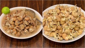 طريقة عمل الفول النابت بالطريقة الأصلية بسهولة وأهم فوائده