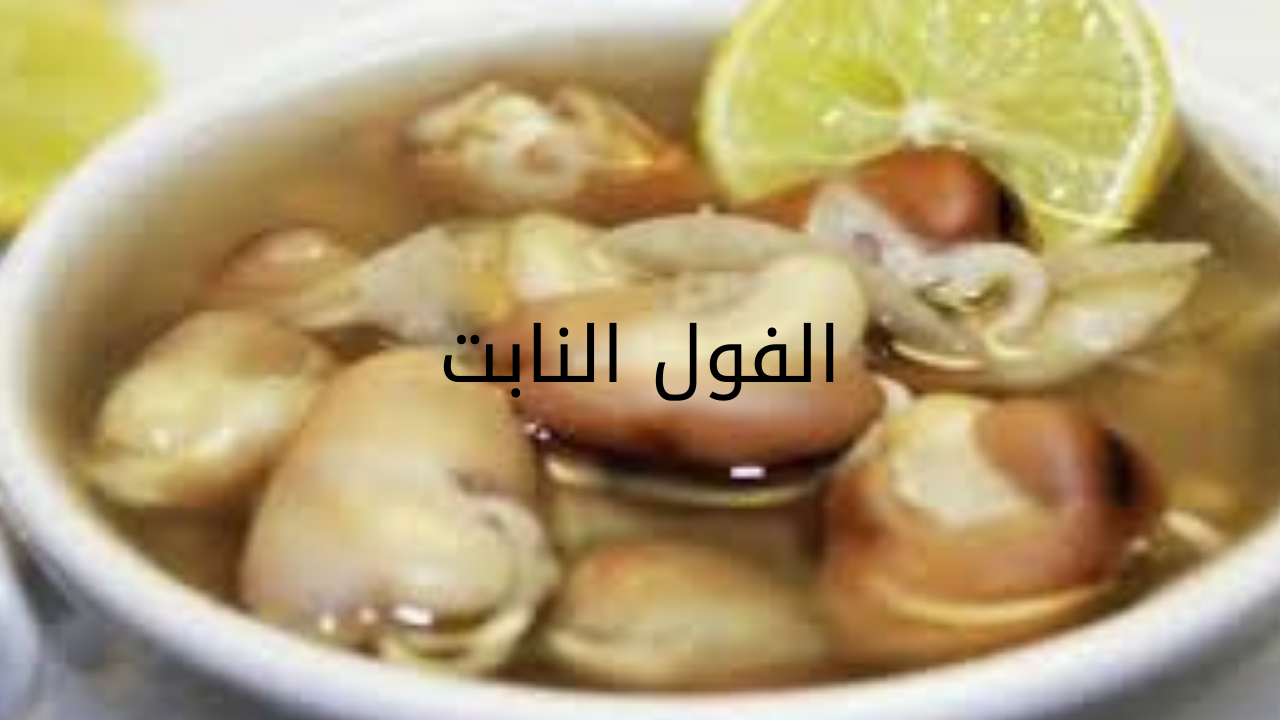 جربيه حالا.. طريقة عمل الفول النابت في المنزل بطعم رائع 5 جربيه حالا.. طريقة عمل الفول النابت في المنزل بطعم رائع