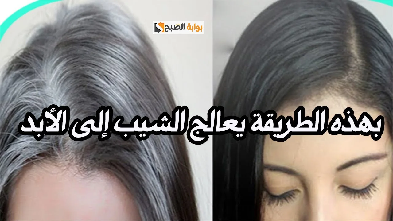 وداعا للشعر الأبيض.. طريقة للتخلص من الشعر الابيض بالليمون الشيب هيختفي بدون صبغات كيميائية 5 وداعا للشعر الأبيض.. طريقة للتخلص من الشعر الابيض بالليمون الشيب هيختفي بدون صبغات كيميائية
