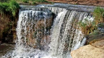 المحميات الطبيعة