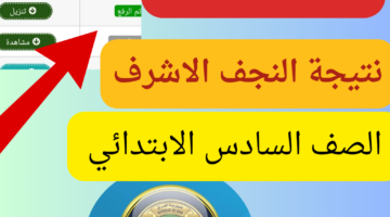 النجف الاشرف