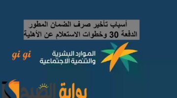 اهلية الضمان المطور