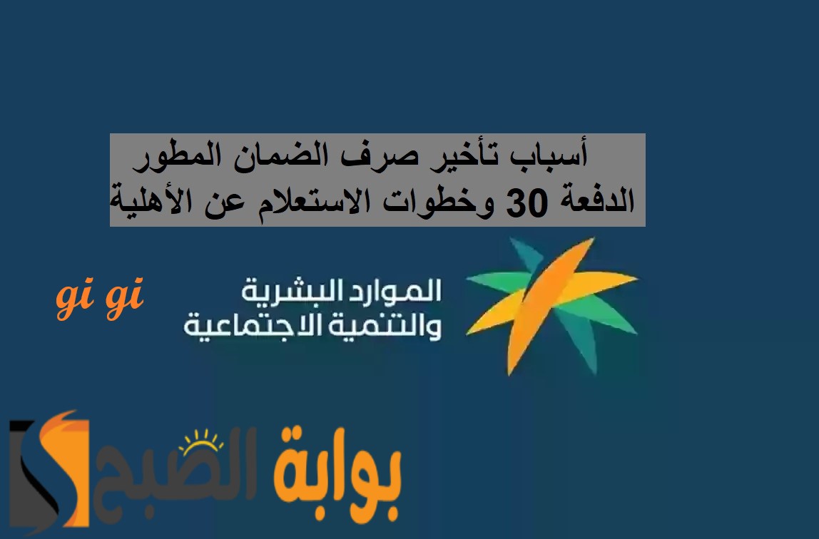 وزارة الموارد البشرية توضح أسباب تأخير صرف الضمان المطور الدفعة 30 وخطوات الاستعلام عن الأهلية 6 وزارة الموارد البشرية توضح أسباب تأخير صرف الضمان المطور الدفعة 30 وخطوات الاستعلام عن الأهلية