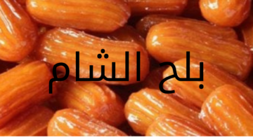 بلح الشام 20240523 041836 0000