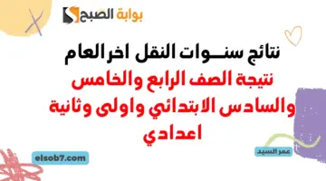 بوابة نتائج التعليم الأساسي eduserv.cairo.gov.eg نتيجة سنوات النقل 4 و5 و6 ابتدائي و1 و2 اعدادي