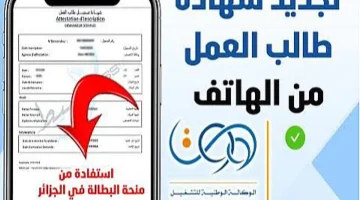 تجديد منحة البطالة كل 6 أشهر
