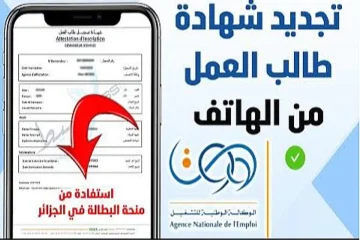 “الوكالة الوطنية تعلن”.. رابط وخطوات تجديد منحة البطالة كل 6 أشهر 2024 في الجزائر