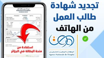 “من هنــا anem.dz” رابط تجديد منحه البطاله كل 6 شهور فى الجزائر 2024 والشروط المطلوبة للتجديد