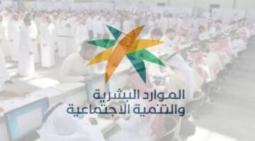 تحديث بيانات التأهيل الشامل 6