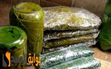 وفري وقتك وجهدك واستمتعي بمحشي ورق العنب طوال العام.. 3 طرق تخزين صحية