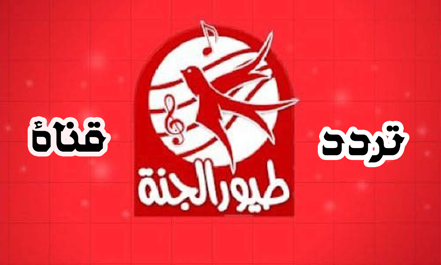 تردد قناة طيور الجنة 2025 القناة الفضائية الشهيرة على النايل سات والعرب سات 2 تردد قناة طيور الجنة 2025 القناة الفضائية الشهيرة على النايل سات والعرب سات