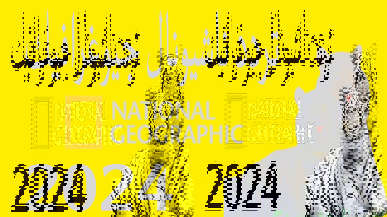 استمتع بالمغامرات والحقائق المدهشة.. تردد قناة ناشيونال جيوغرافيك أبوظبي نايل سات 2024 5 استمتع بالمغامرات والحقائق المدهشة.. تردد قناة ناشيونال جيوغرافيك أبوظبي نايل سات 2024