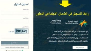 تسجيل جديد في الضمان الاجتماعى المطور