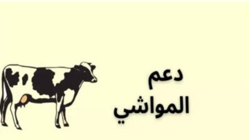 شروط تسجيل دعم المواشي والمستندات المطلوبة 1445