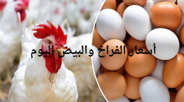 تصميم بدون عنوان 20240501 095126 ٠٠٠٠