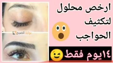 هتزود جمالك.. مع وصفه طبيعية لتكثيف الحواجب مش هتحتاجى لمايكروبليدنج