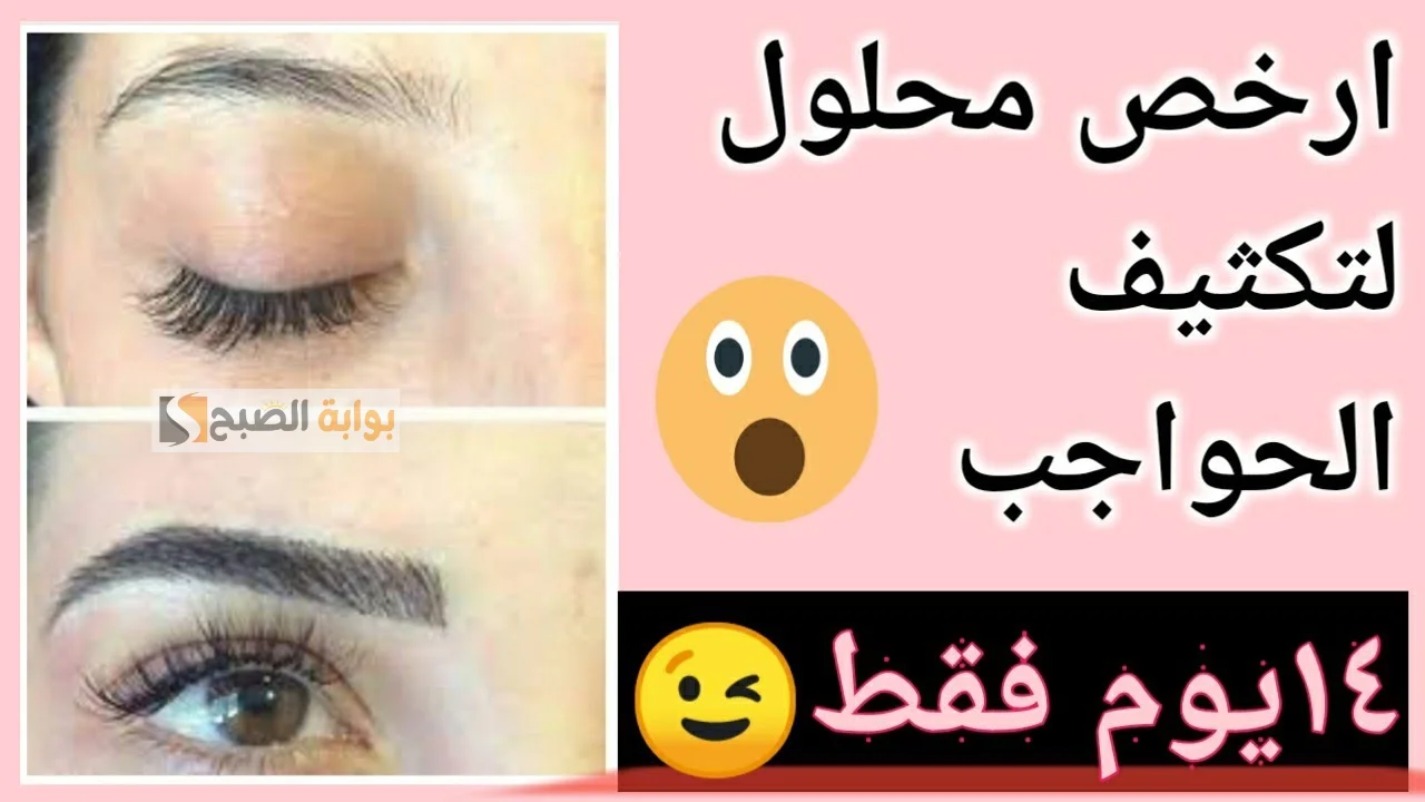 هتزود جمالك.. مع وصفه طبيعية لتكثيف الحواجب مش هتحتاجى لمايكروبليدنج