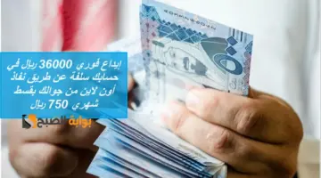 تمويل الاسرة