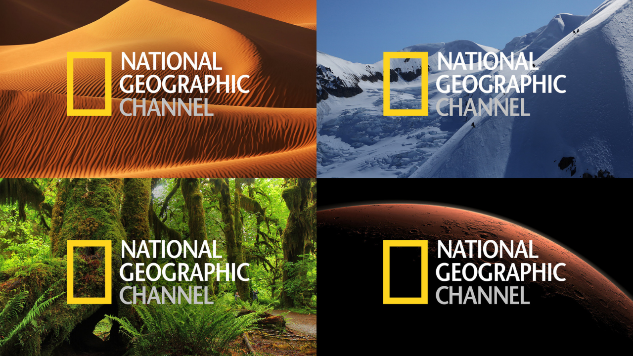 رحلات الحيوانات المذهلة.. تردد قناة ناشيونال جيوغرافيك نايل سات 2024 nat geo abu dhabi جودة عالية HD 5 رحلات الحيوانات المذهلة.. تردد قناة ناشيونال جيوغرافيك نايل سات 2024 nat geo abu dhabi جودة عالية HD