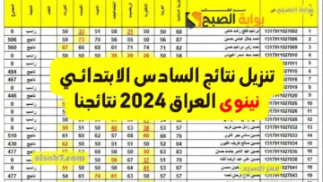 تنزيل نتائج السادس الابتدائي نينوى العراق 2024 نتائجنا pdf وزارة التربية العراقية درجات الامتحانات الوزارية
