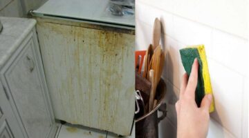 تنظيف حوائط المطبخ