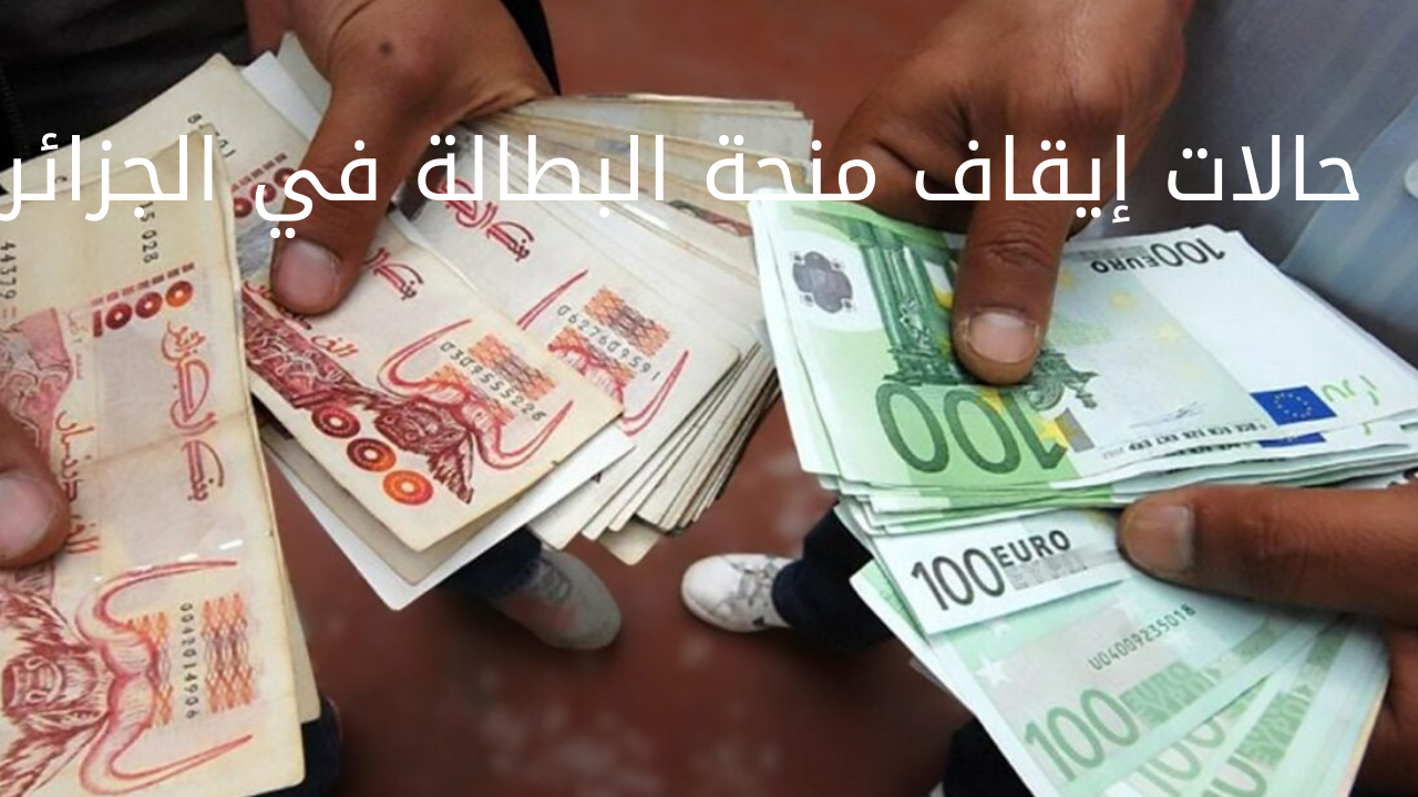 “احذر من ضياع المنحة“ 7 حالات تؤدي إلى إيقاف منحة البطالة في الجزائر 2024 anem.dz 5 “احذر من ضياع المنحة“ 7 حالات تؤدي إلى إيقاف منحة البطالة في الجزائر 2024 anem.dz