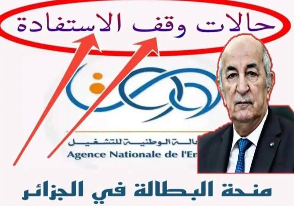 حقيقة ايقاف منحة البطالة الجزائرية لهذه الفئات.. وأهم شروط المنحة 5 حقيقة ايقاف منحة البطالة الجزائرية لهذه الفئات.. وأهم شروط المنحة