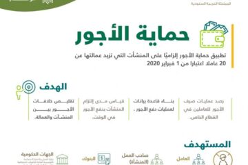 خدمة حماية الأجور 2024  للعاملين من وزارة الموارد البشرية