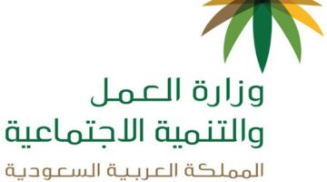 دعم الضمان الاجتماعي المطور