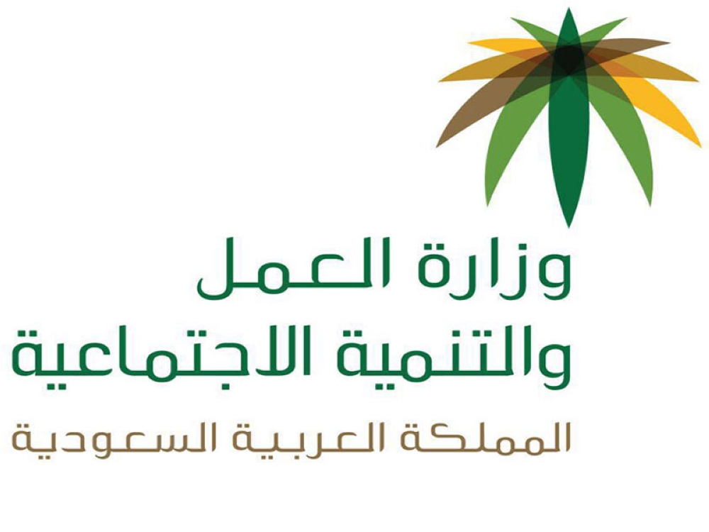 شروط القبول في دعم الضمان الاجتماعي المطور وما هي الفئات المستحقة للدعم؟