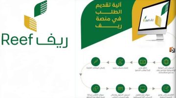 دعم ريف