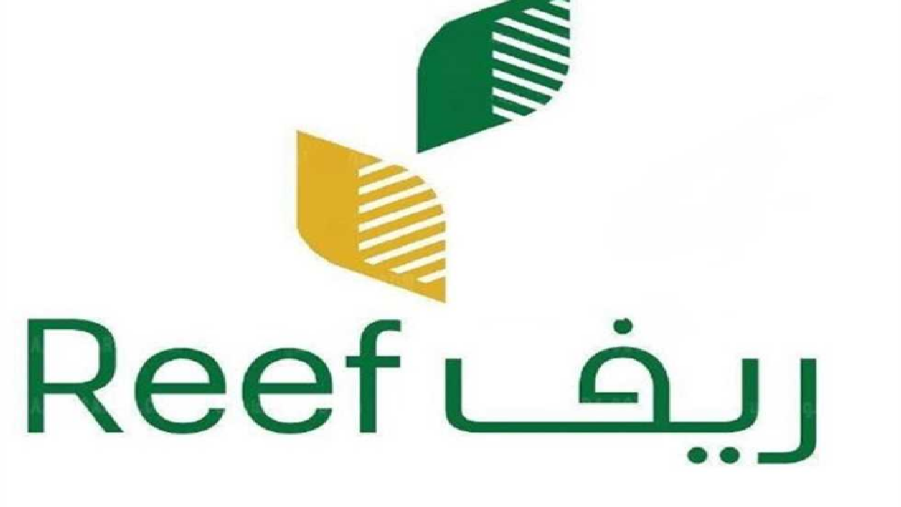 مع اقتراب إعلان نتائج الأهلية..رابط دعم ريف استعلام برقم الهوية عن مبلغ الاستحقاق الشهري وشروط التسجيل كمستفيد 2 مع اقتراب إعلان نتائج الأهلية..رابط دعم ريف استعلام برقم الهوية عن مبلغ الاستحقاق الشهري وشروط التسجيل كمستفيد