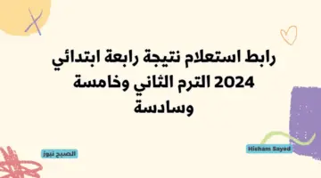رابط استعلام نتيجة رابعة ابتدائي 2024 الترم الثاني