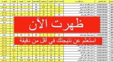رابط الاستعلام عن نتيجة السادس الابتدائي العراق 2024 لجميع المحافظات 2