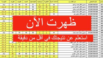 عاجل: وزارة التعليم العراقية تعلن ظهور نتيجة السادس الابتدائي العراق 2024 تربية ميسان ..الرابط المباشر