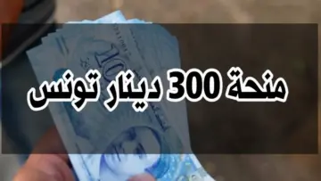 “وزارة الشؤون الاجتماعية منحة 300 دينار“ رابط التسجيل في منحة 300 دينار تونس 2024 والشروط المطلوبة social.gov.tn