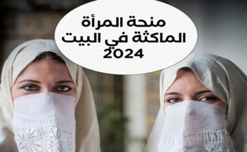 “قدمي واحصلي على 800 دينار” خطوات التسجيل في منحة المرأة الماكثة الجزائر 2024