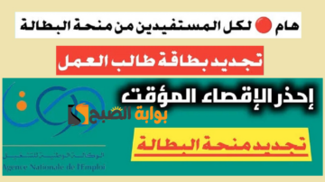 “anem.dz” لينك تجديد منحة البطالة بالجزائر 2024 الوكالة الوطنية للتشغيل والشروط المطلوبة برابط شغال